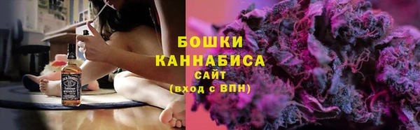 молекула духа Зеленодольск