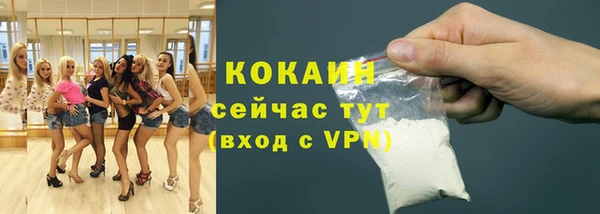 стафф Зерноград