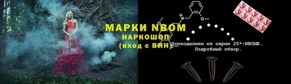 стафф Зерноград
