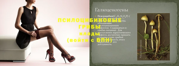 молекула духа Зеленодольск