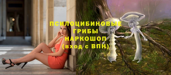 молекула духа Зеленодольск
