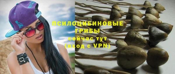 стафф Зерноград