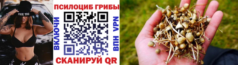 Галлюциногенные грибы мицелий  Купить закладки  Донецк 